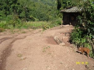 黑龍自然村 黑龍自然村