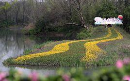 2017中國杭州・西溪花朝節 2017中國杭州・西溪花朝節