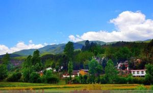 高原村[河南洛寧縣故縣鄉下轄村]