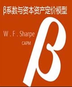 資本資產定價模型 資本資產定價模型