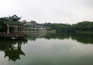 石灣公園 石灣公園