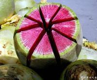 滿堂紅心裡美91-1 滿堂紅心裡美91-1