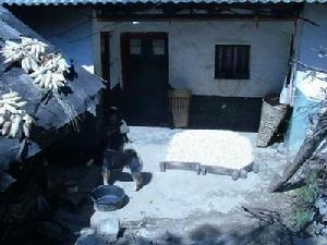 王地自然村人口衛生-院壩