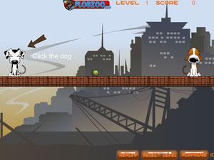 聰明的小狗 聰明的小狗