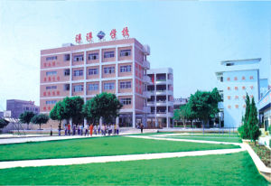 東莞市大朗洋洋學校 東莞市大朗洋洋學校