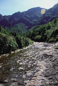 西源鄉[浙江省]