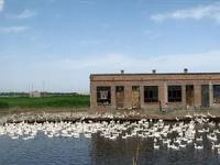 蘇哈特鄉 蘇哈特鄉