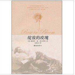 綻放的玫瑰 綻放的玫瑰