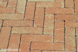 磚鋪路面 磚鋪路面