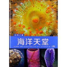 動物之美:海洋天堂 動物之美:海洋天堂