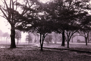 安徽省寧國水泥廠 安徽省寧國水泥廠