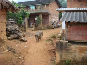 二台坡自然村 二台坡自然村
