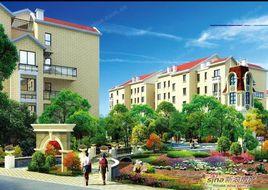 金色環海 金色環海