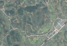 柳樹鎮[陝西省西鄉縣柳樹鎮]