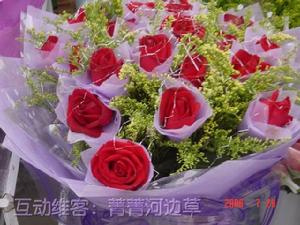 七夕的花 七夕的花