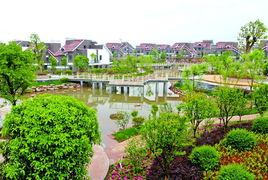 白坑村[福建省寧德市福安市城陽鄉白坑村]