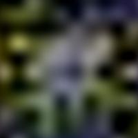 IC 3067 GALEX 彩色圖