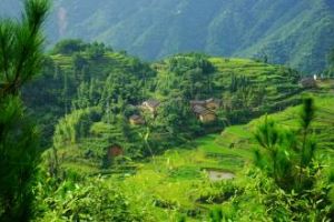 廣東天堂山省級森林公園 廣東天堂山省級森林公園