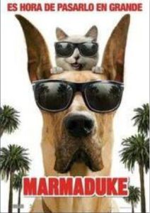 酷狗馬馬杜 酷狗馬馬杜