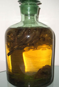 補腎壯陽酒 補腎壯陽酒