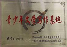 團中央授予的榮譽牌匾