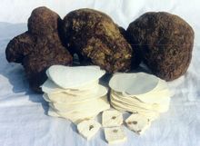 九資何茯苓 九資何茯苓