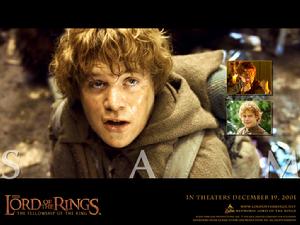 《魔戒:魔戒現身 加長版》