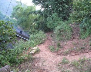 苓朗自然村 苓朗自然村