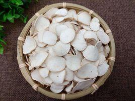 濱海白首烏 濱海白首烏