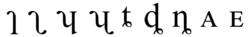 ipa[國際音標]