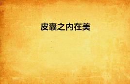 皮囊之內在美 皮囊之內在美