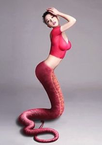 人蛇[指偷渡者]