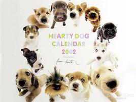 世界犬種智商排行 世界犬種智商排行