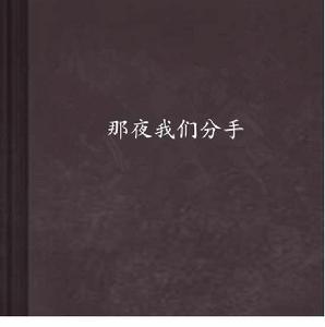 那夜我們分手 那夜我們分手