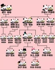 近姻親關係 近姻親關係