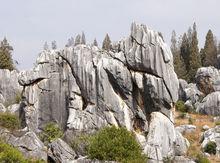 雲南石林世界地質公園