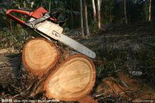 伐木[漢語詞目]