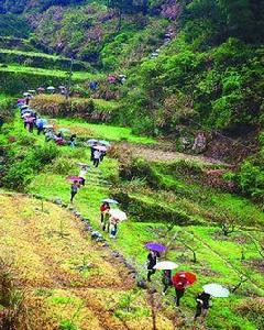 梅田古道 梅田古道