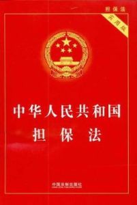 擔保公司 擔保公司