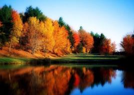 河北塞罕壩國家森林公園 河北塞罕壩國家森林公園