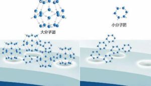 締合分子 締合分子