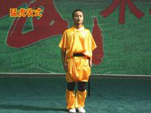 虎拳[中國傳統武術流派之一]