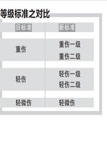 人體輕傷鑑定標準(試行)