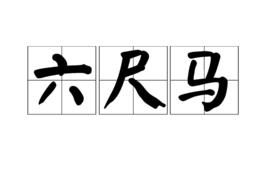 六尺馬 六尺馬