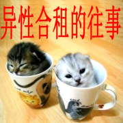 異性合租的往事[王亞奇創作小說]