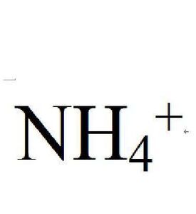 銨根離子 銨根離子