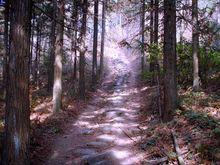 白馬山[浙江省遂昌縣白馬山]