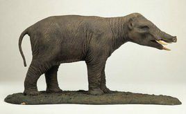 古乳齒象 古乳齒象