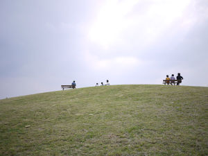 調布飛行場 調布飛行場