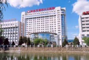 中國人民解放軍463醫院 中國人民解放軍463醫院